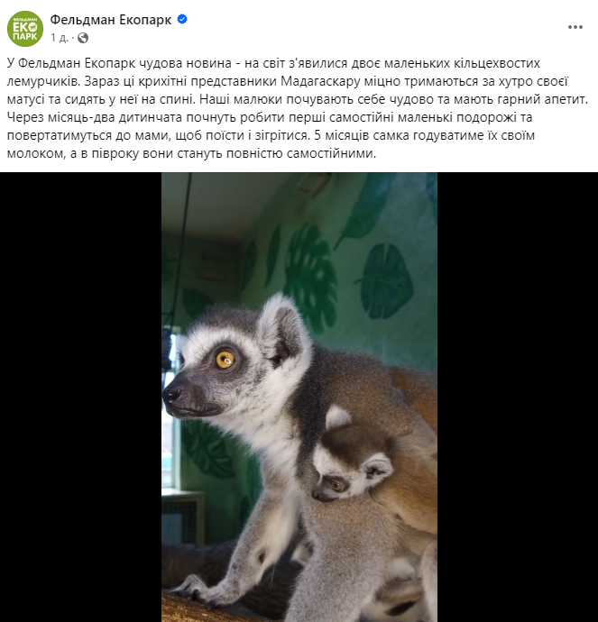 Народження лемурів у Харкові