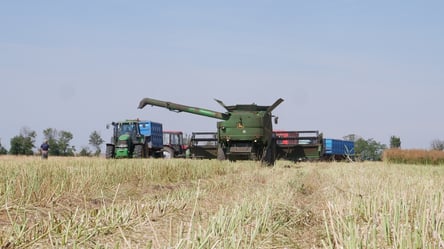 В Украине стабилизировалась стоимость сои — сколько стоит 1 тонна зерна в октябре - 290x166