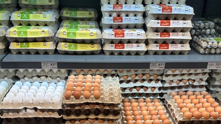 Цены на яйца недолго будут стабильными — сколько денег брать в супермаркет - 290x166