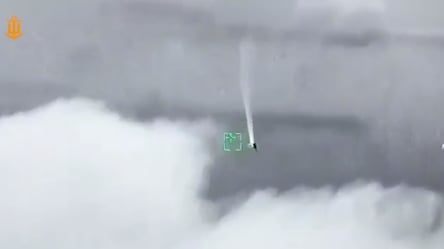 Знищення російського дрона над Одещиною — Військово-Морські сили показали кадри влучної роботи - 285x160