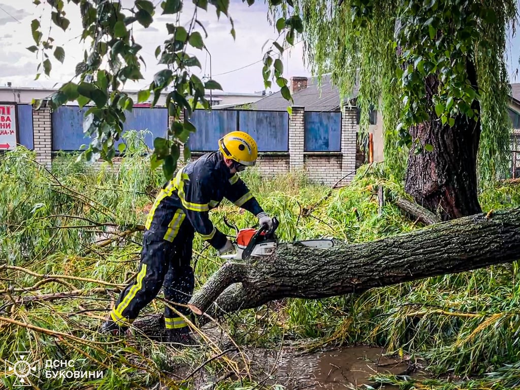 Какие последствия бури в Черновицкой области