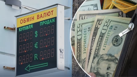 Купить 1 000 долларов в Украине — какая цена в первую неделю марта - 290x160