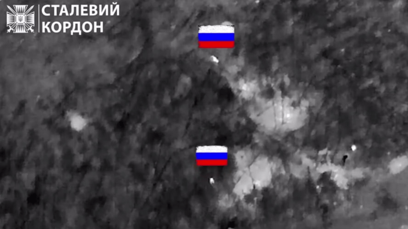 У ДПСУ показали, як дроном ліквідували окупантів у Харківській області