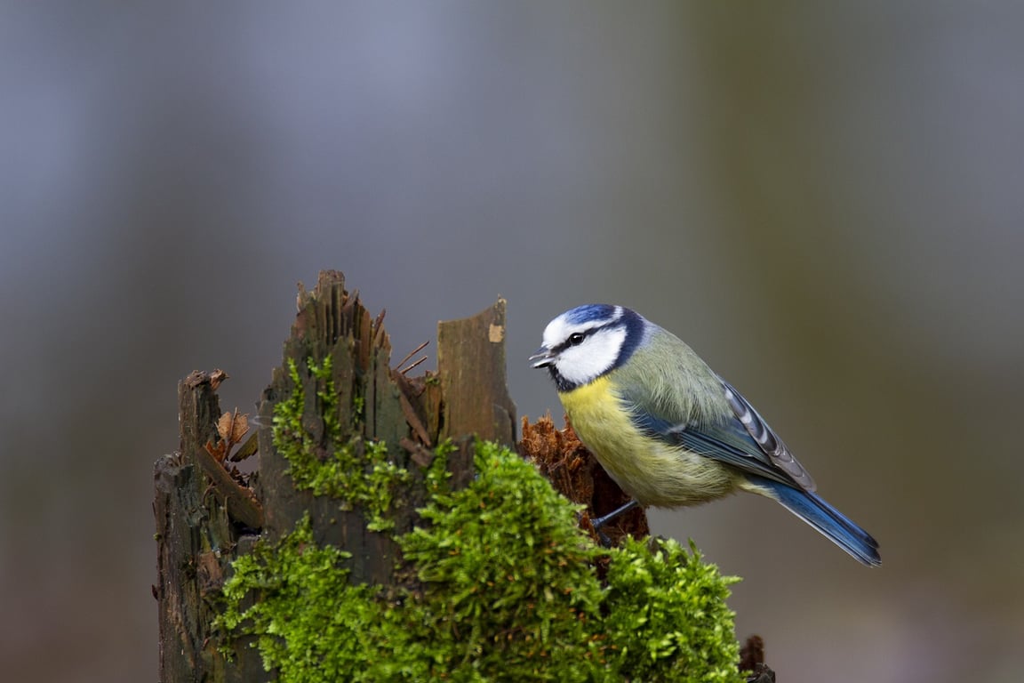 Народні прикмети та традиції на 30 жовтня
