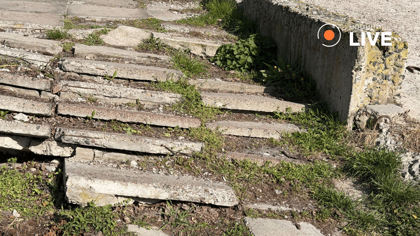 Біля озера Вербне у Києві хочуть привести в порядок територію