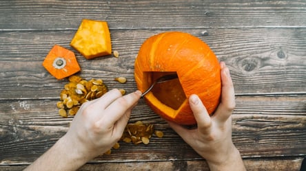 Не викидайте гарбузи — зробіть із них натуральне добриво - 285x160