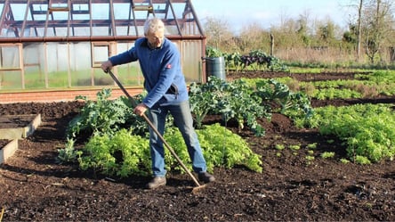 Робота на городі після дощу — як розпушити ґрунт та прополоти грядки - 285x160