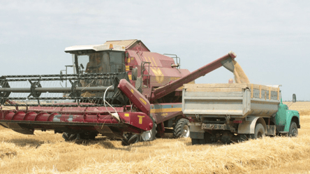 Зерно у жовтні — чому втрачає у ціні ріпак - 285x160