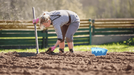 Місячний посівний календар на жовтень 2025 — які дні урожайні - 285x160