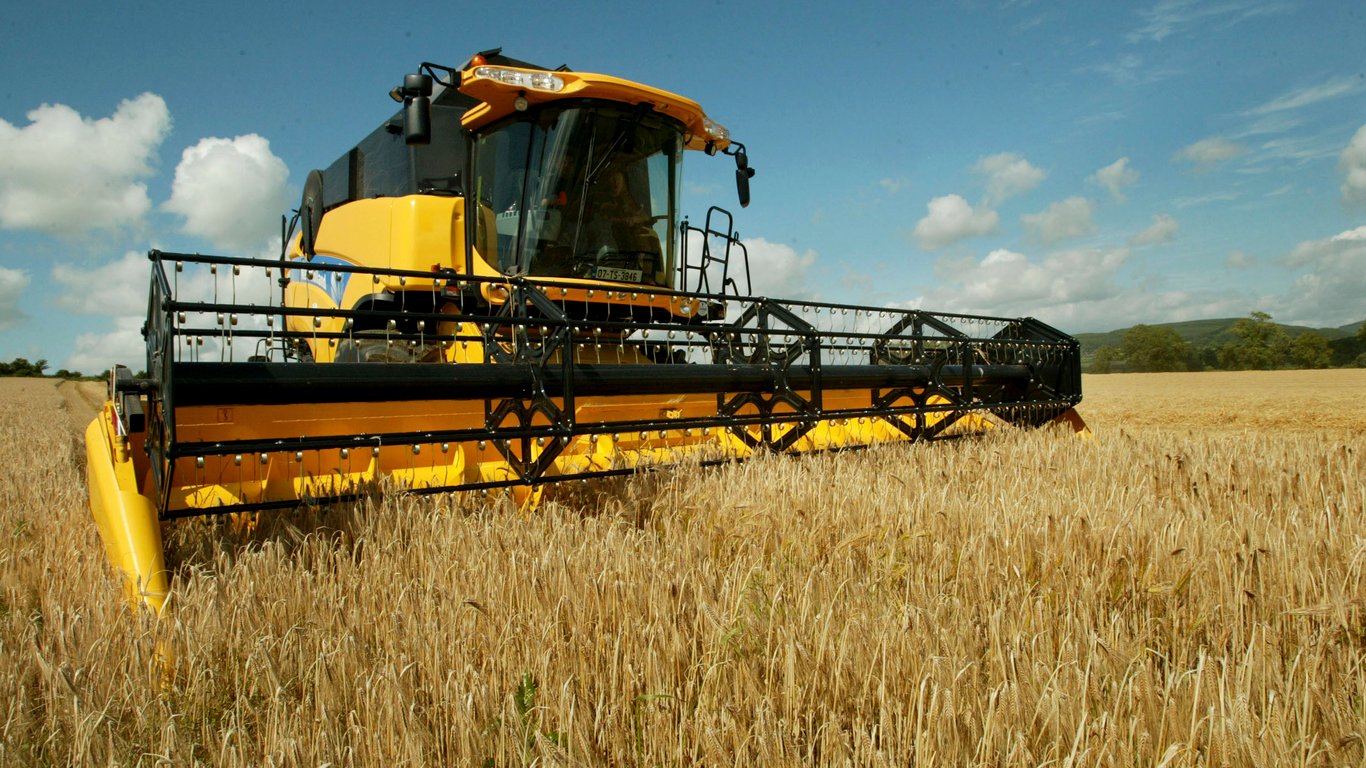 Цены на зерно в Украине: сколько стоит ячмень в августе