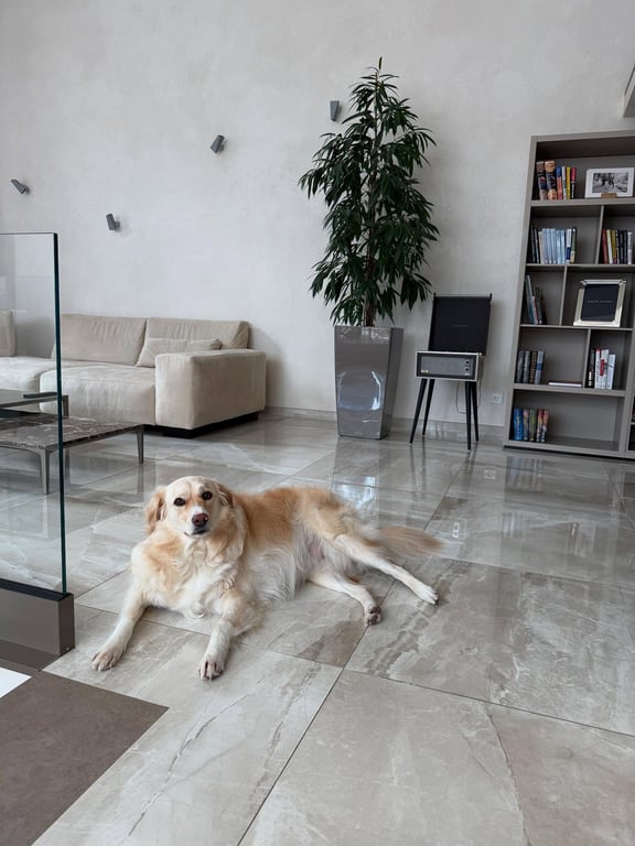 Валерия Гусєва