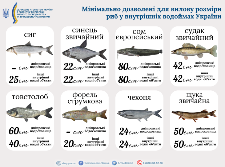 Зимняя рыбалка — без чего можно получить штраф в 2026 году - фото 2