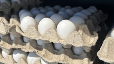 Скільки можна зберігати яйця: умови та терміни придатності - 285x160