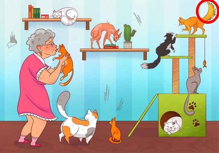 Як пройти тест на IQ