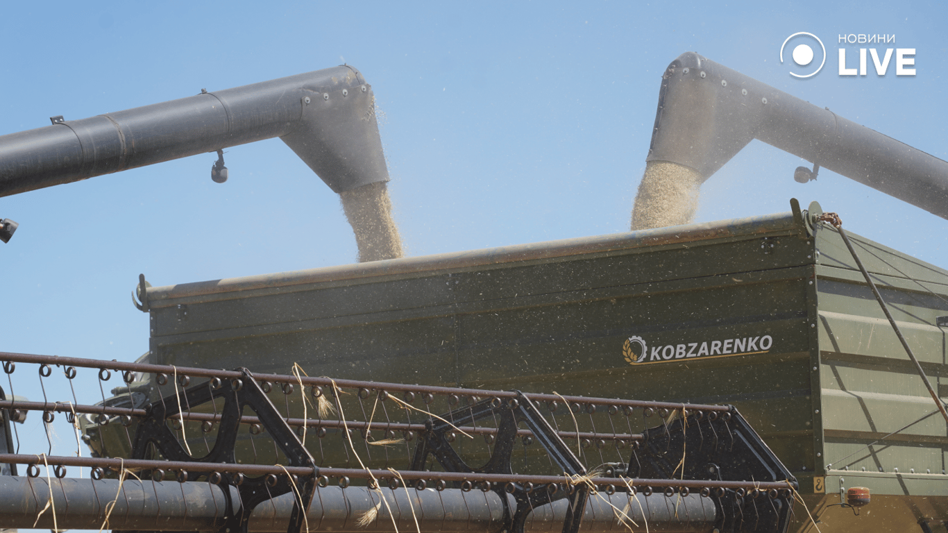 Процес відвантаження зерна