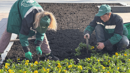 В Одесі витратять понад 815 тисяч гривень на квіти для клумб - 285x160