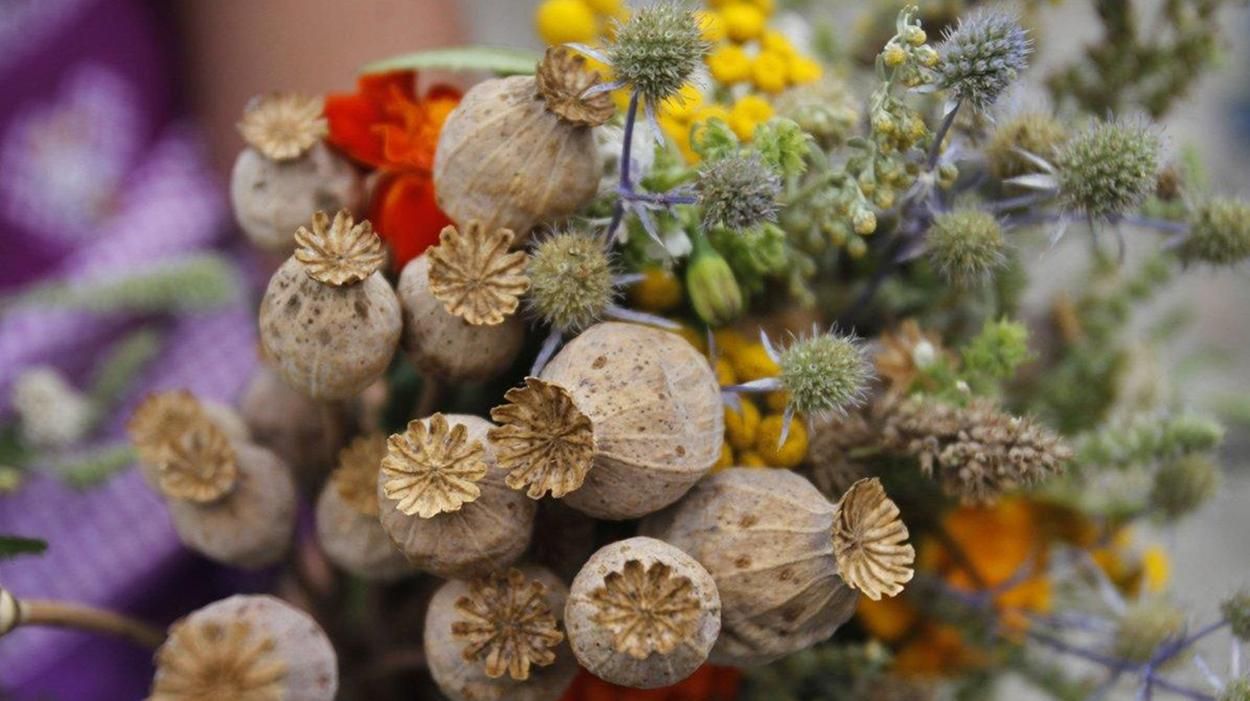 Медовий Спас 2024 — що треба встигнути зробити напередодні свята Маковія