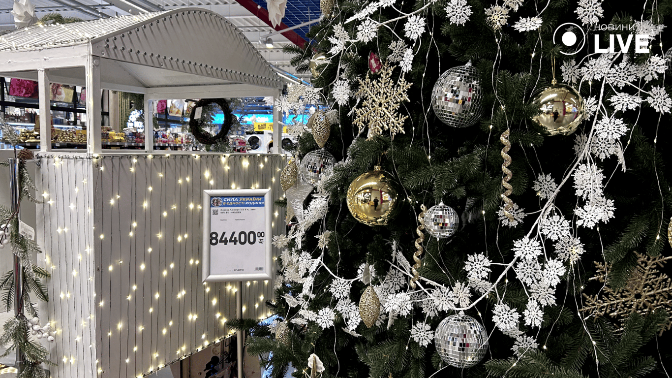 Ціни на новорічні ялинки в Одесі - фото 21