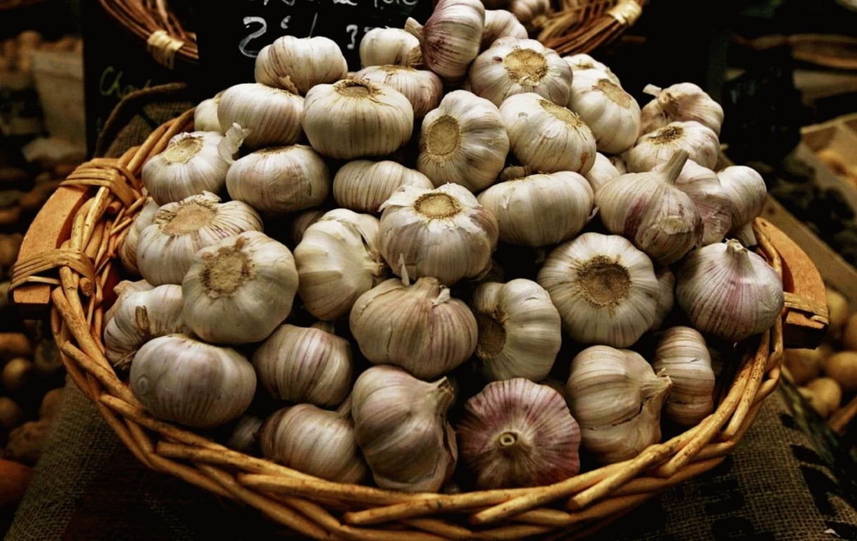 Посадка чеснока в открытый грунт — оптимальные дата и время