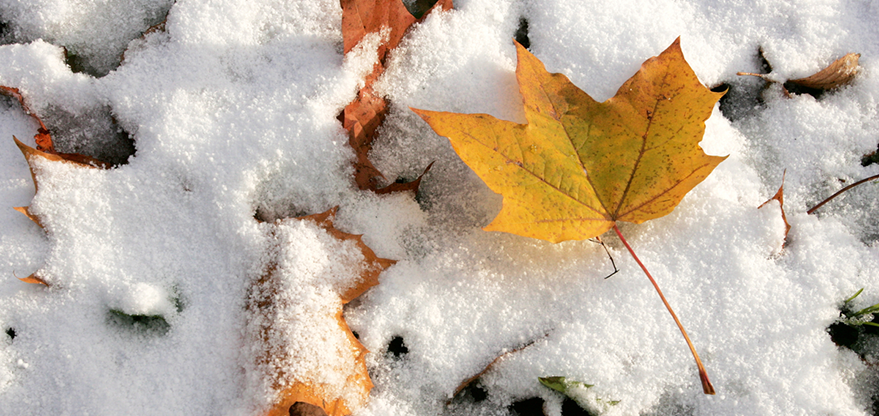 Народні прикмети та традиції на 22 жовтня