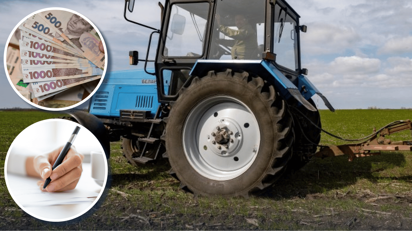 Відкриття ринку землі в Україні: ціни і несподівані тенденції за 6 років