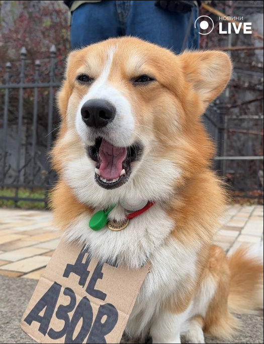 Акція на підтримку військовополонених у Києві