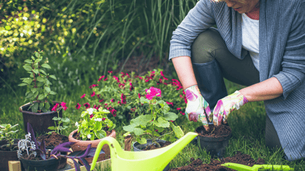 Тренди садового дизайну 2026 — нові ідеї для вашого двору - 285x160