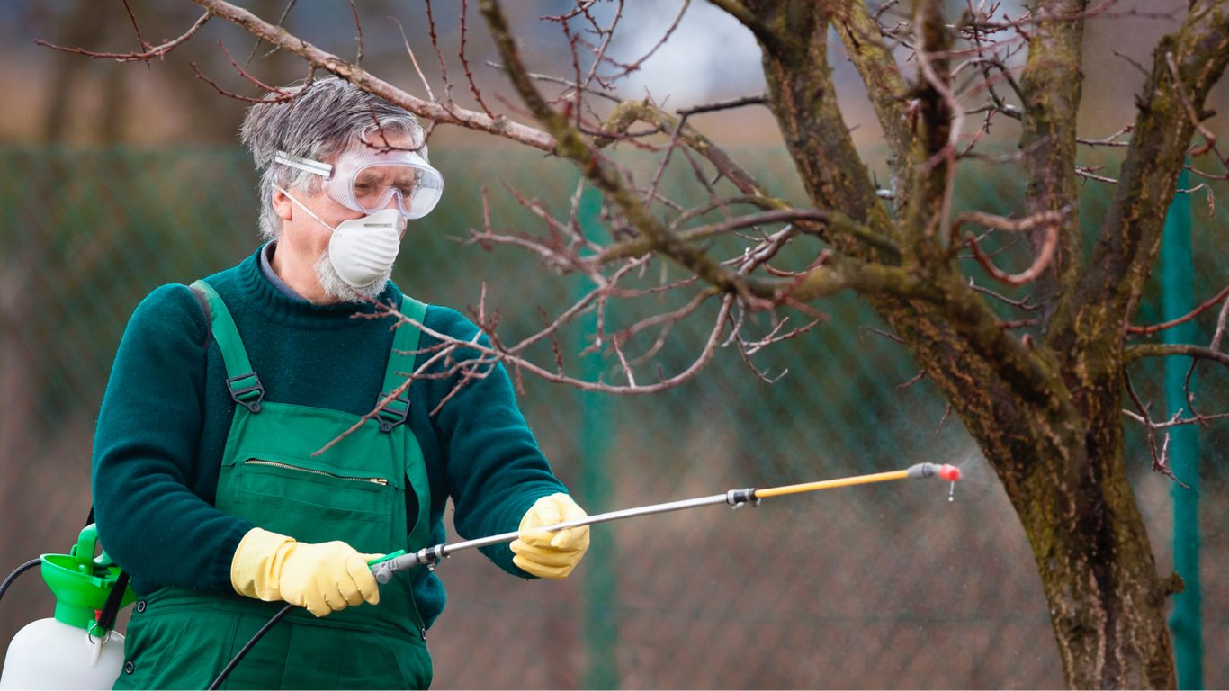 Чоловік обробляє сад від шкідників. 