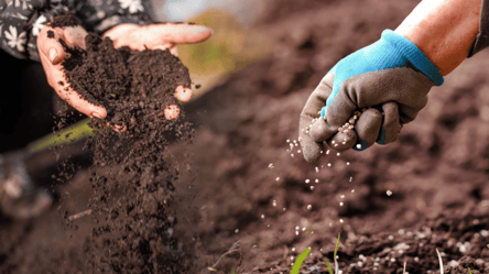 Это волшебное средство вернет силы истощенной почве — что надо - 285x160