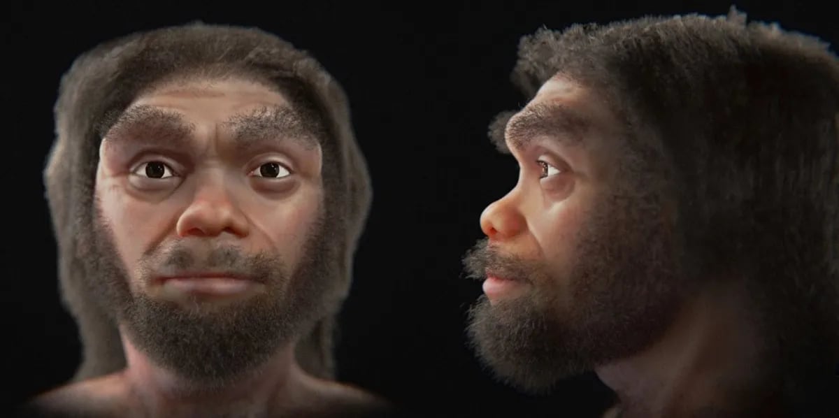 Как выглядит человек-дракон: ученые воспроизвели лицо древнего вида