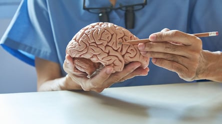 Ученые обнаружили новый сигнал в человеческом мозге: работает лучше, чем компьютер - 285x160