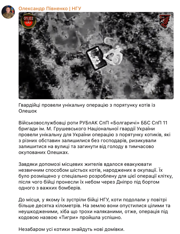 Півненко: у межах операції "Тигри" врятували шістьох котів з Олешок - фото 1