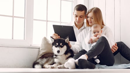 Аренда квартиры — кому в Украине не хотят сдавать жилье - 285x160