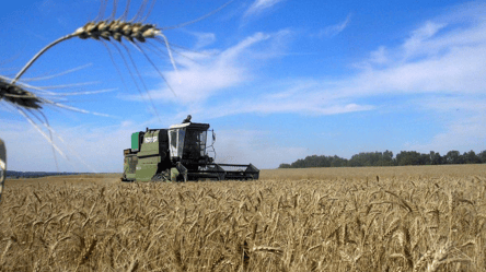 В МИД сделали заявление по экспорту украинского зерна - 285x160
