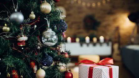 Модные цвета елки 2026 — что принесет удачу, а что лучше обойти - 285x160