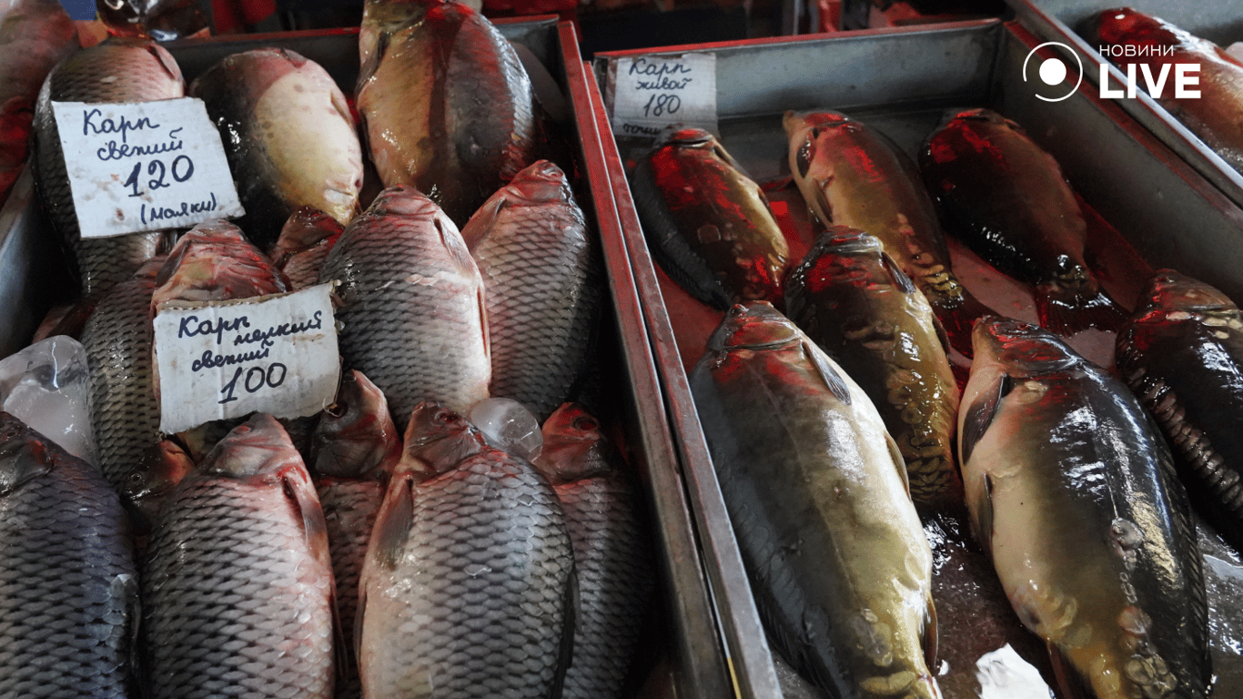 Морський та річковий коропи. Фото: Новини.LIVE