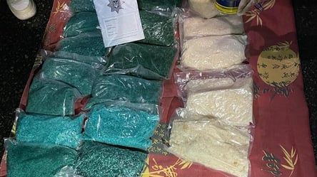 В Киеве задержали наркодельцов и изъяли более 40 кг психотропов: какова их стоимость - 285x160
