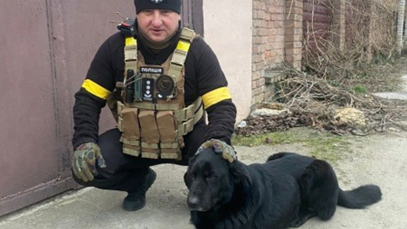 Полицейские спасли пса