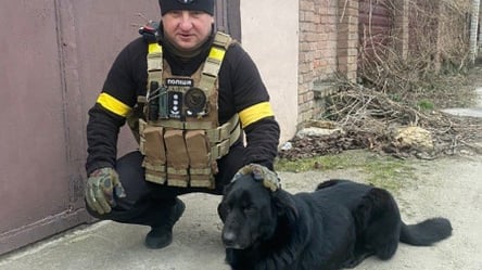 Блек живий: одеські поліцейські врятували у Херсоні собаку - 285x160