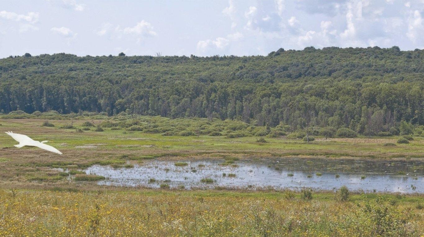 Топ-5 природних чудес України, які варто побачити кожному - фото 3