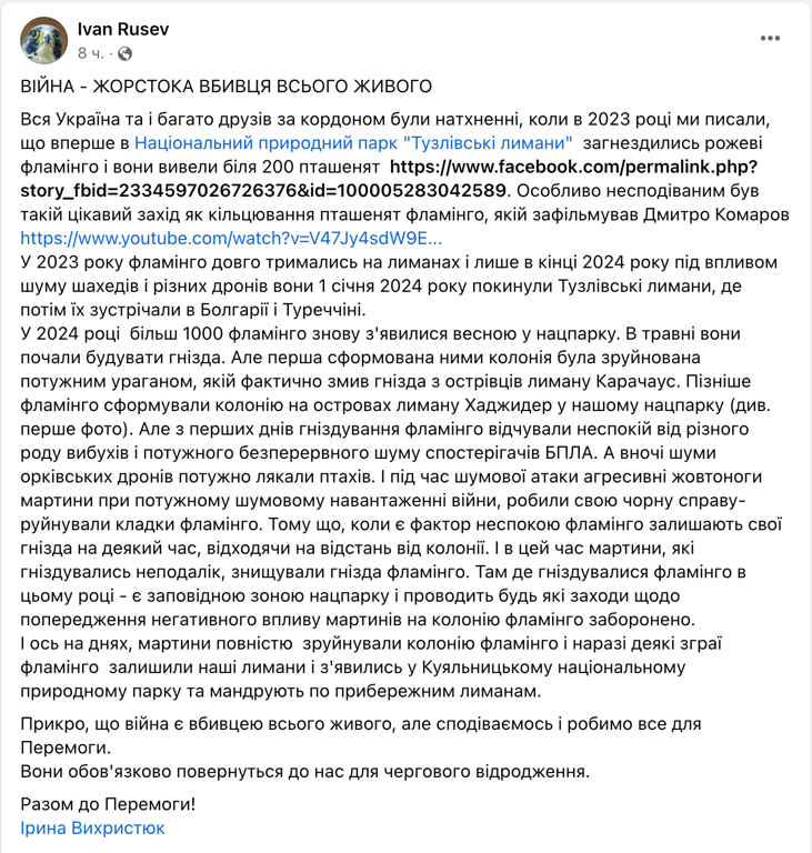 сообщение эколога Ивана Русева о фламинго