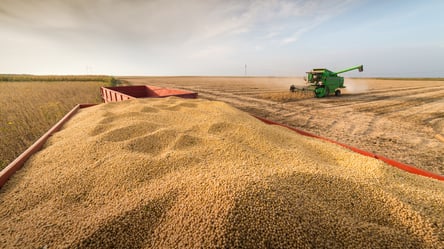 Цены на зерно в Украине. Сколько стоит соя в январе - 285x160