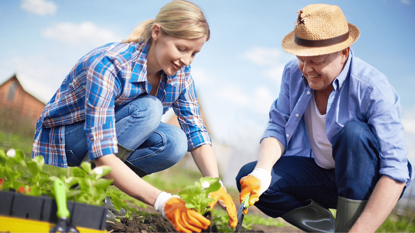 Які овочі варто садити поруч на грядці — корисні поради городників та садівників