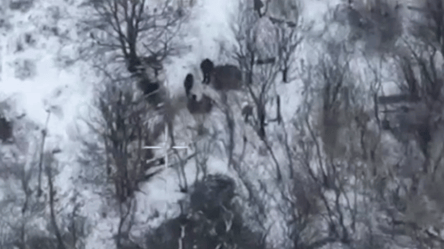 Прикордонники знищили під Вовчанськом майже 30 окупантів — відео - 290x166