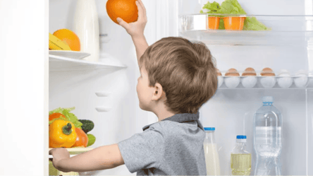 Опасность прямо в холодильнике: продукты, которые могут довести ребенка до нервного срыва - 285x160