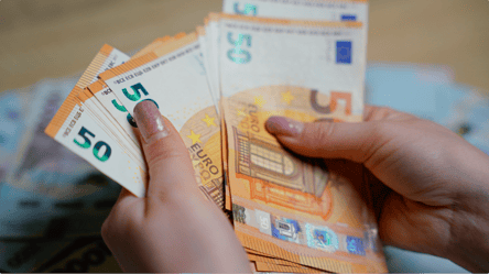 Курс гривні до євро, а не до долара: Кущ пояснив, у чому вигода - 290x160