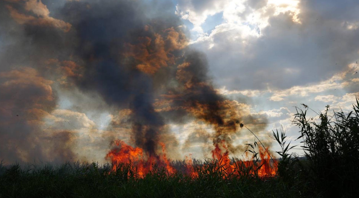 Пожежа на Одещині