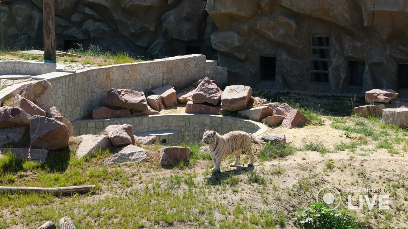 Харківський зоопарк відкрився для відвідувачів: що відомо