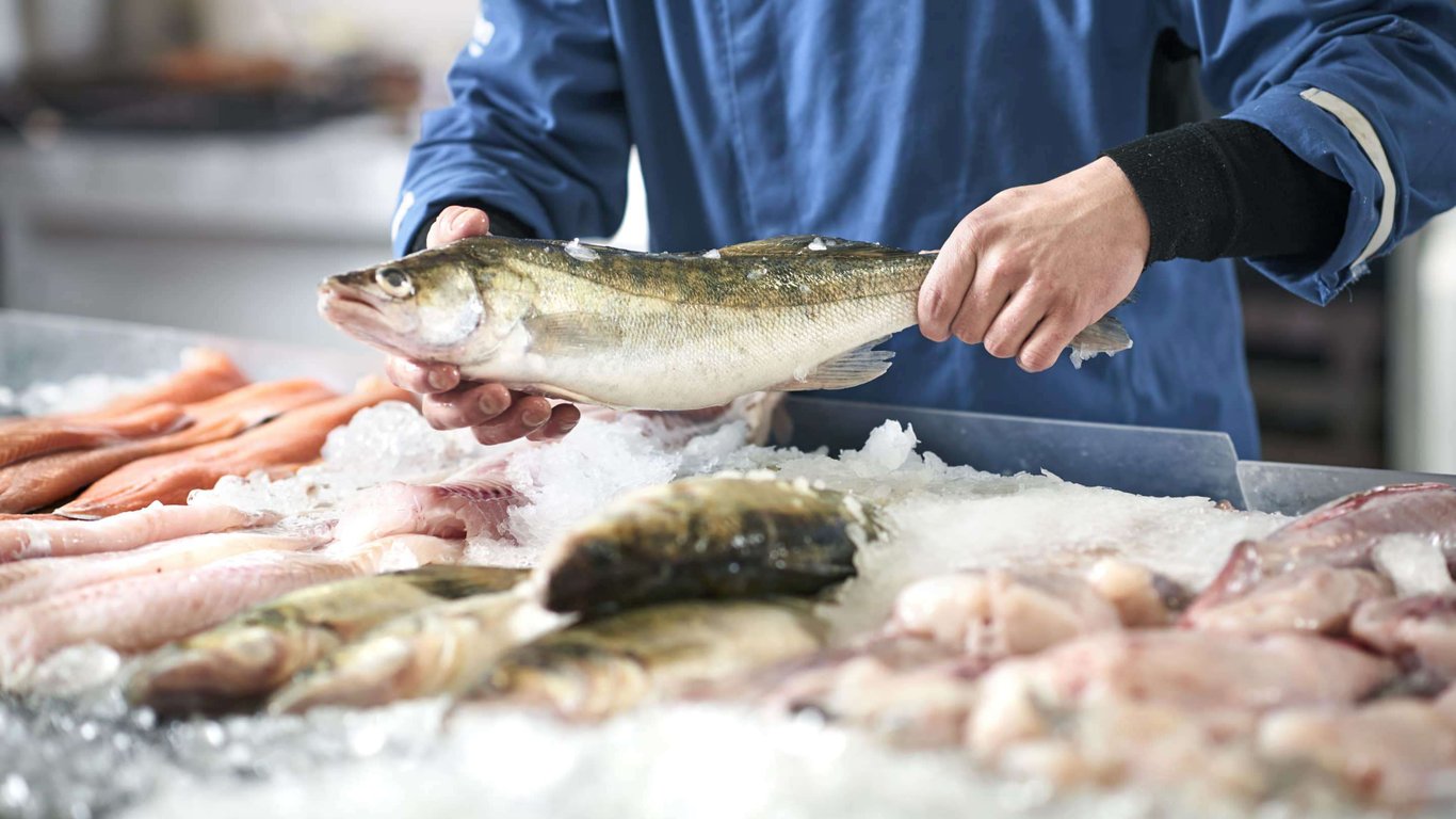Ціни на рибу та морепродукти в Україні станом на лютий 2024 року