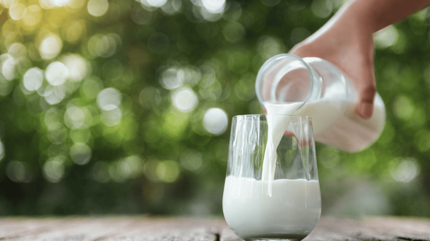 Чому на городі використовують молоко — яка користь для рослин
